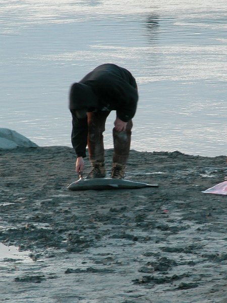 DSCN1218.JPG
