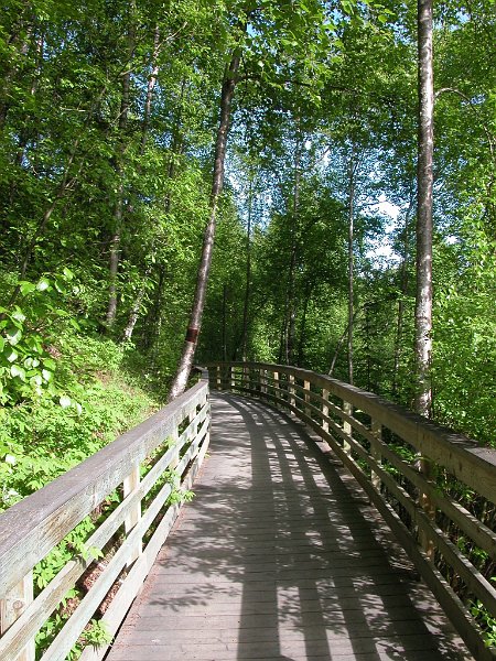 DSCN1229.JPG