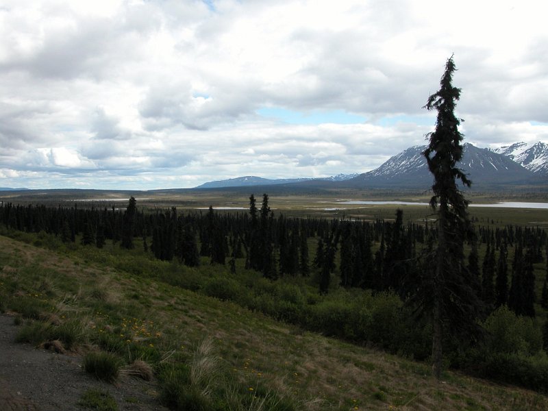 DSCN1241.JPG