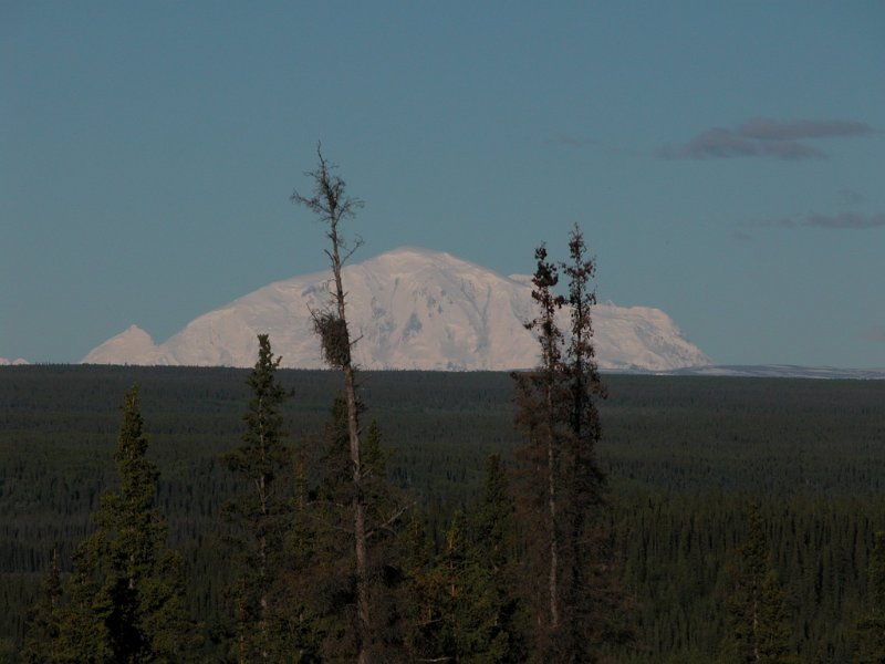 DSCN1272.JPG