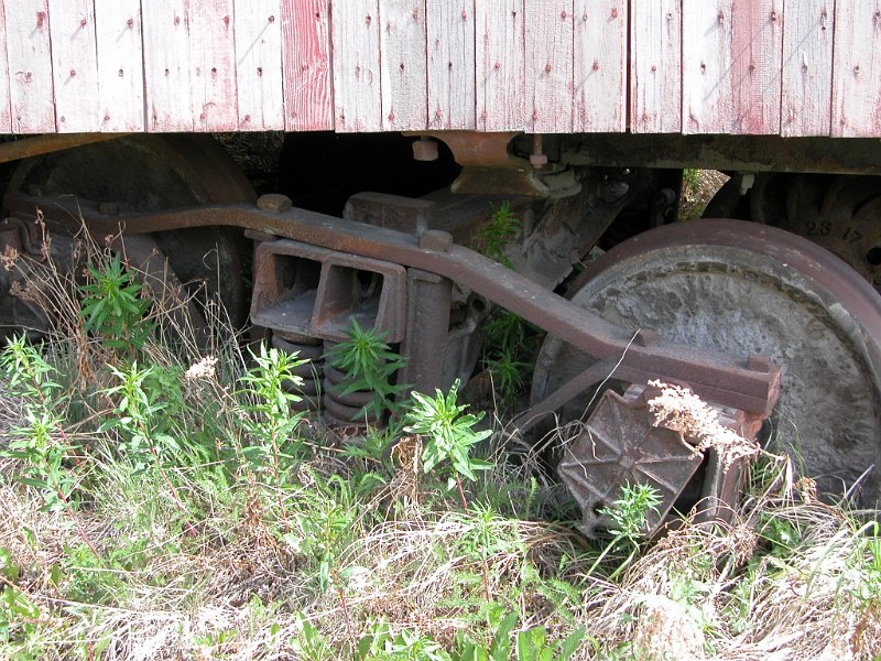 DSCN1290.JPG