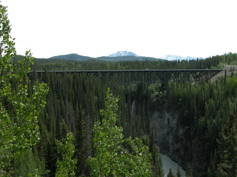 DSCN1306.JPG