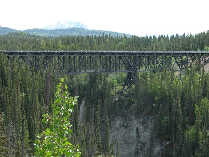 DSCN1308.JPG
