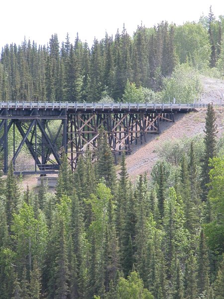 DSCN1309.JPG