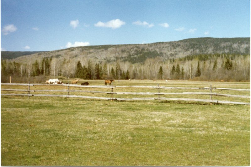 0096_01.jpg