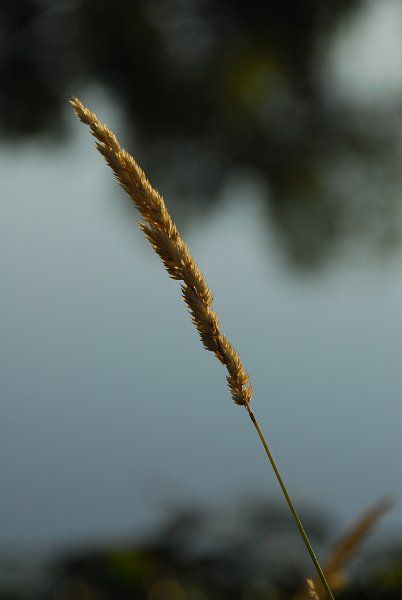 DSC_6302.JPG