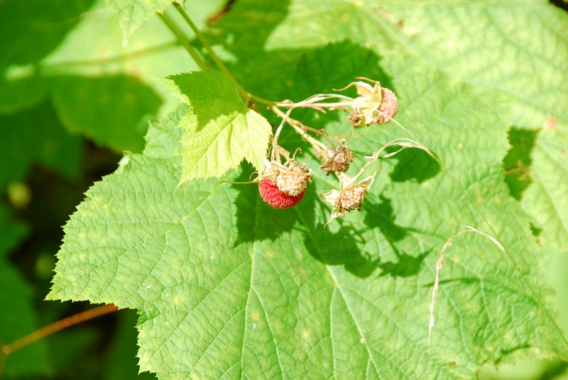 DSC_6364.JPG