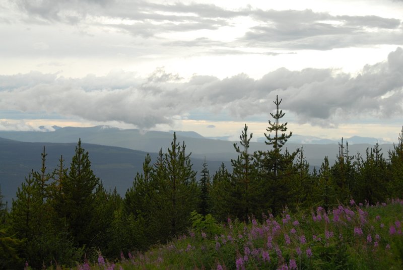DSC_6382.JPG