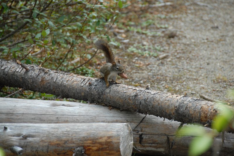 DSC_6429.JPG