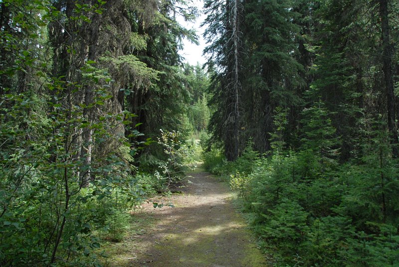DSC_6431.JPG