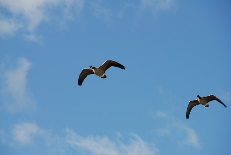 DSC_6496.JPG