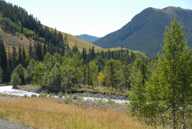 DSC_6823.JPG