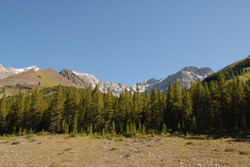 DSC_6827.JPG