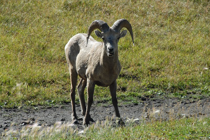 DSC_6831.JPG