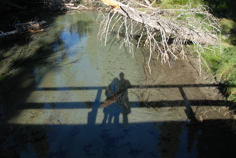 DSC_7203.JPG