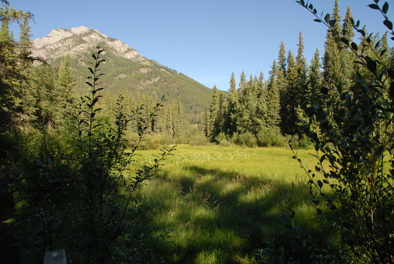 DSC_7209.JPG