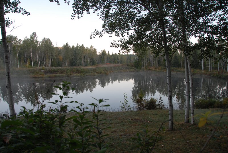DSC_7484.JPG