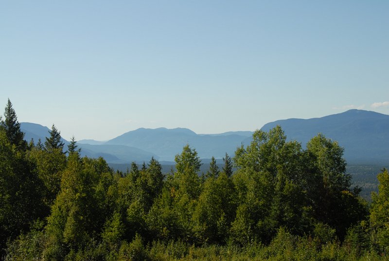 DSC_7511.JPG