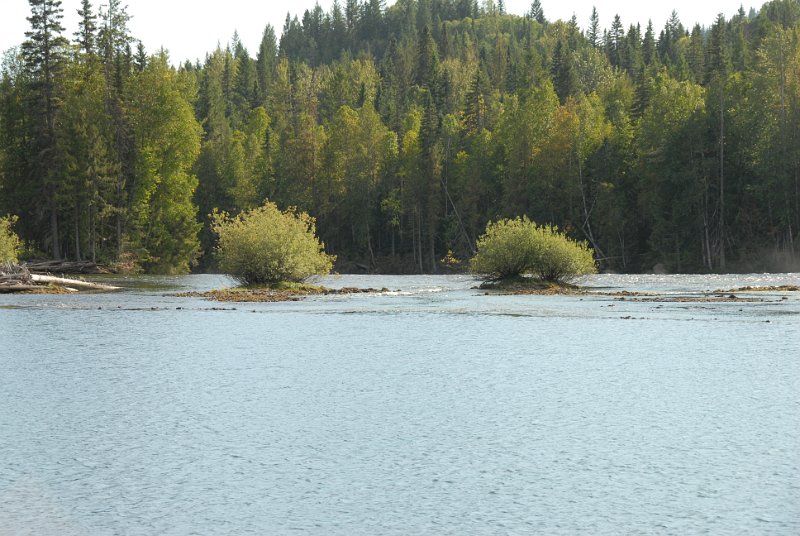 DSC_7521.JPG