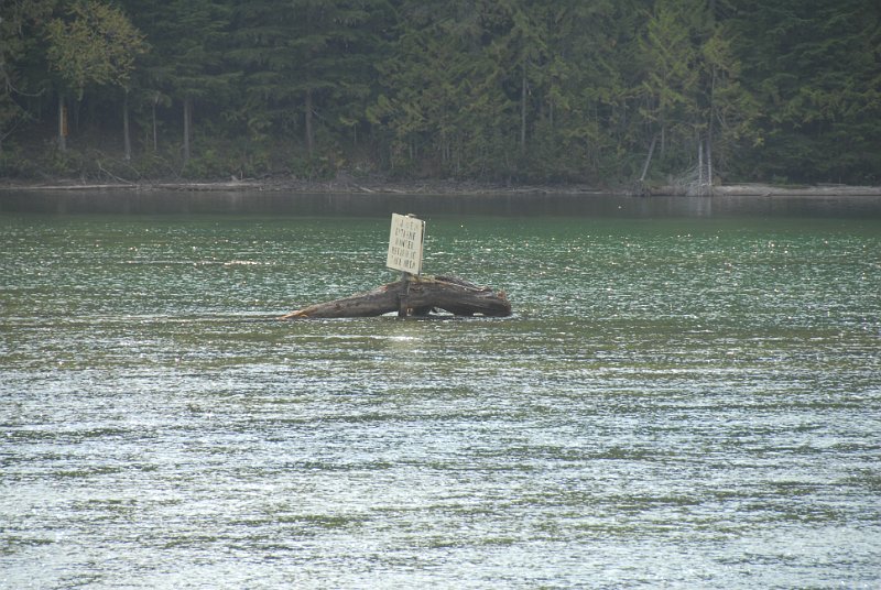DSC_7525.JPG