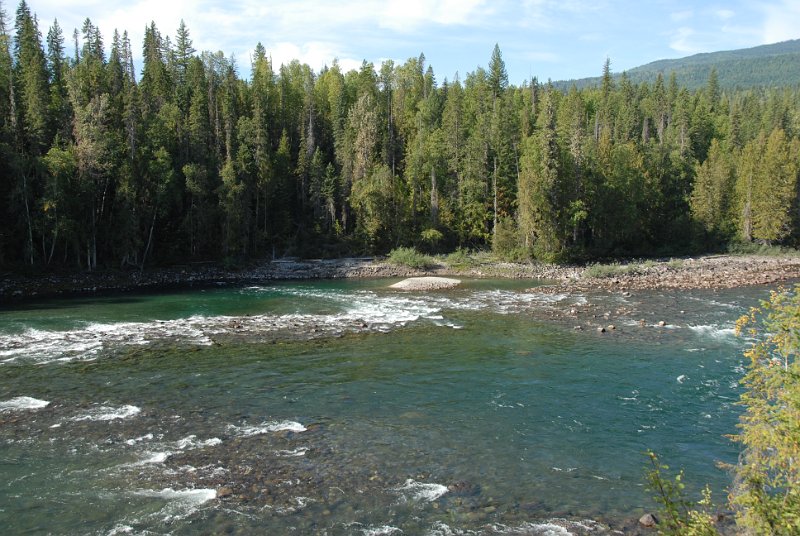 DSC_7528.JPG