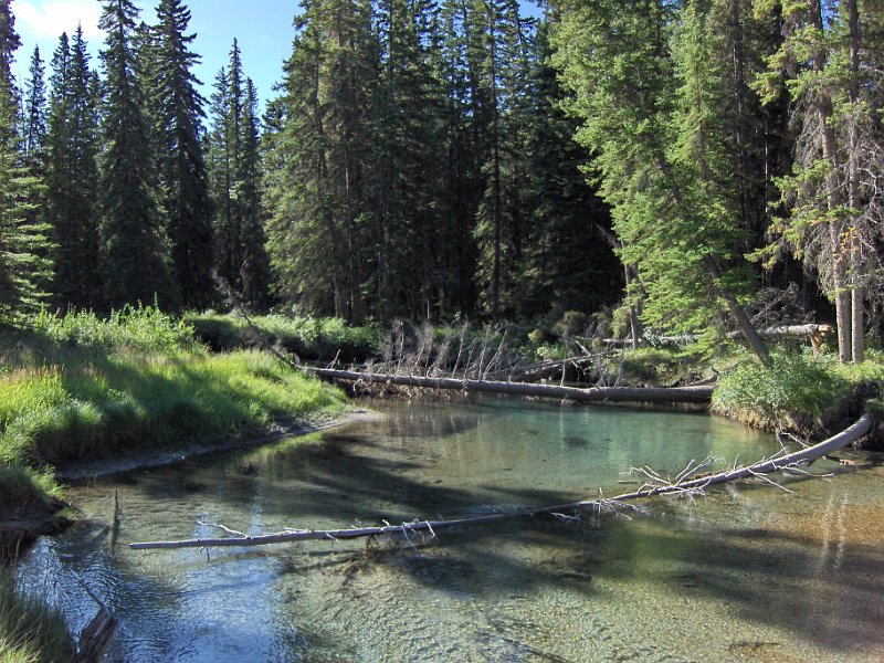 HPIM0335.JPG