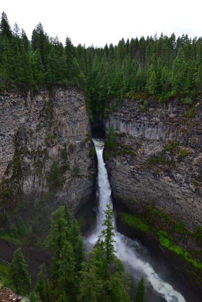 DSC_1333.JPG