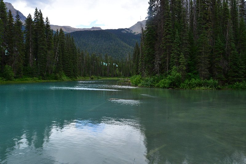 DSC_1873.JPG