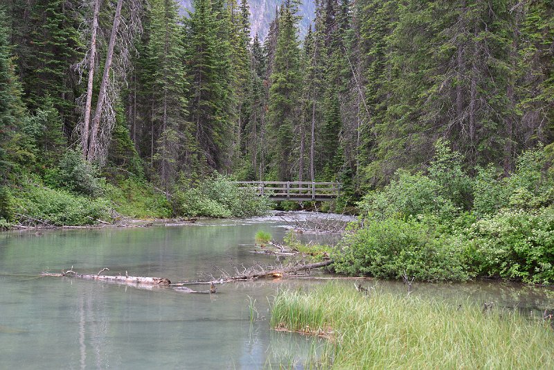 DSC_1878.JPG