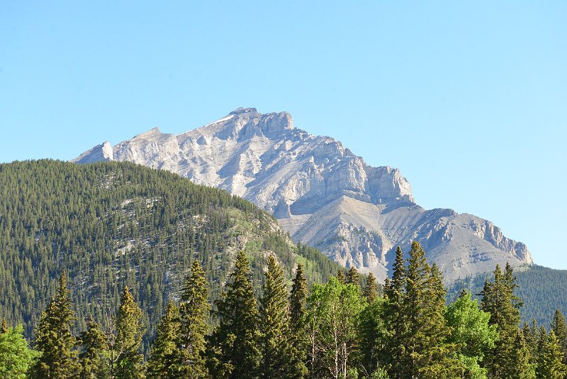 DSC_2373.JPG
