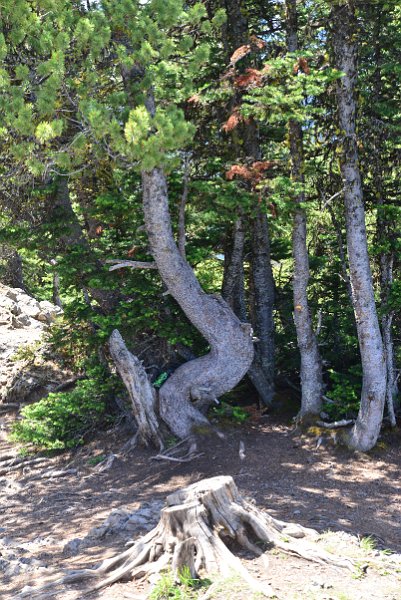 DSC_2385.JPG