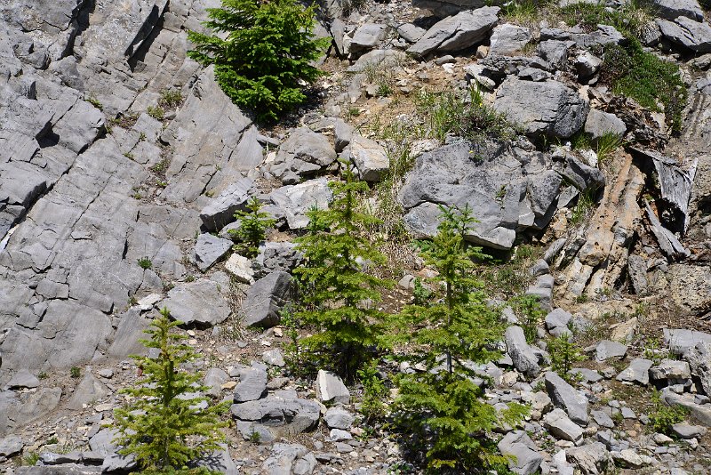 DSC_2394.JPG