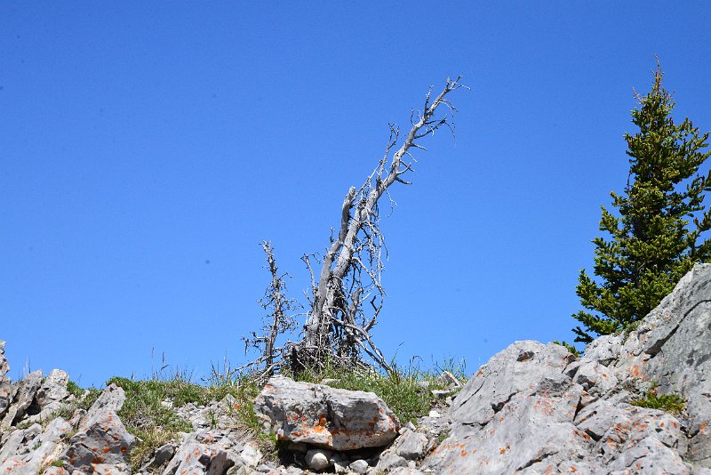 DSC_2403.JPG