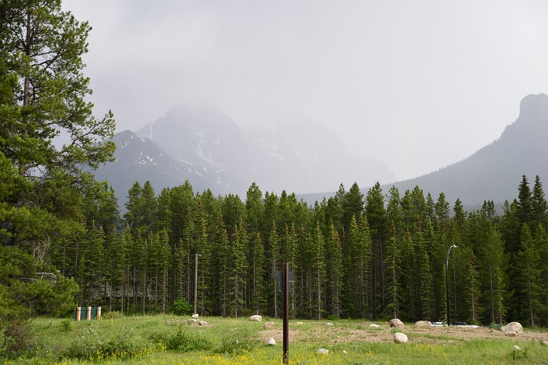 DSC_2801.JPG