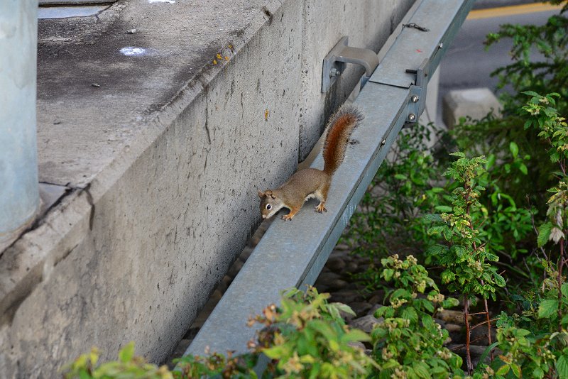 DSC_3209.JPG
