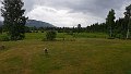 IMG-20250627-WA0017