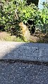 IMG-20250706-WA0010