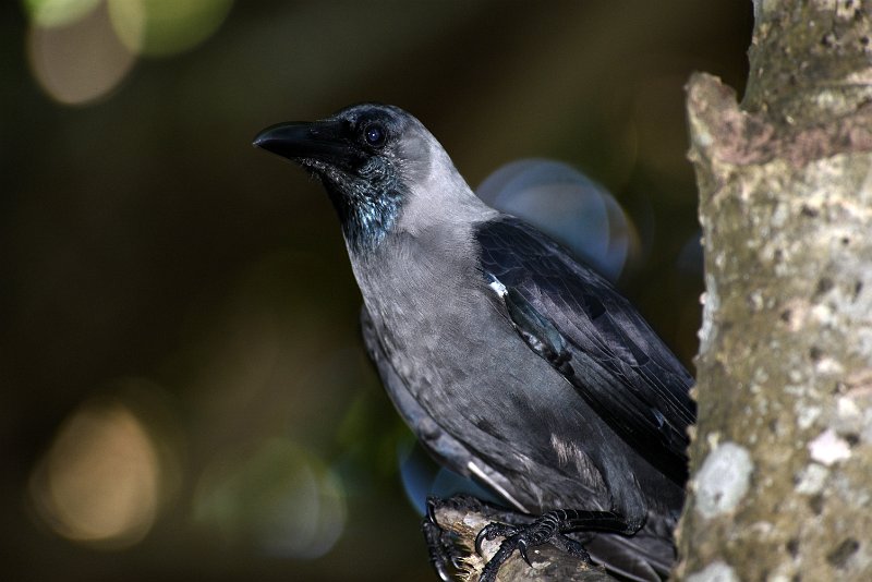 DSC_6606.JPG