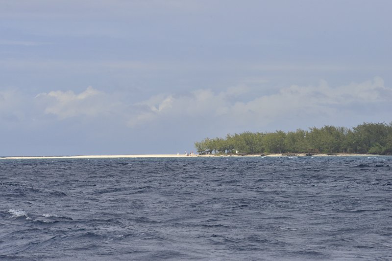 _DSC3684.JPG