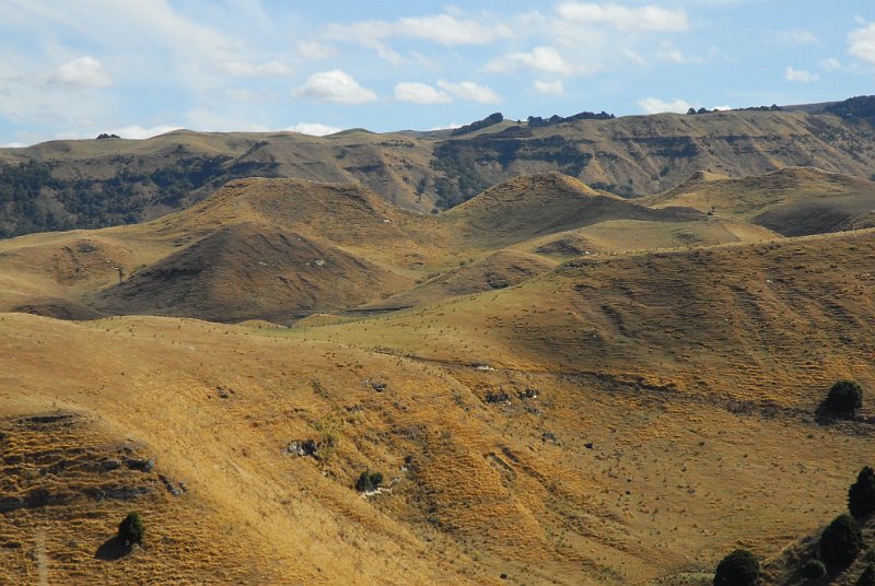 DSC_2417.JPG