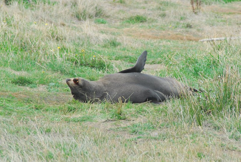 DSC_2684.JPG