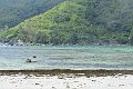 _DSC3498