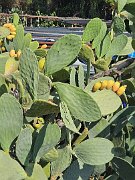 IMG-20250824-WA0013