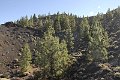 _DSC2051