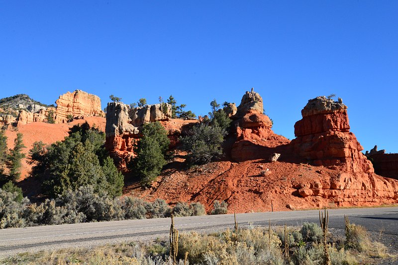 DSC_0482.JPG - red canyon