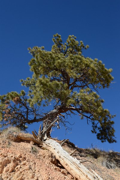 DSC_0574.JPG