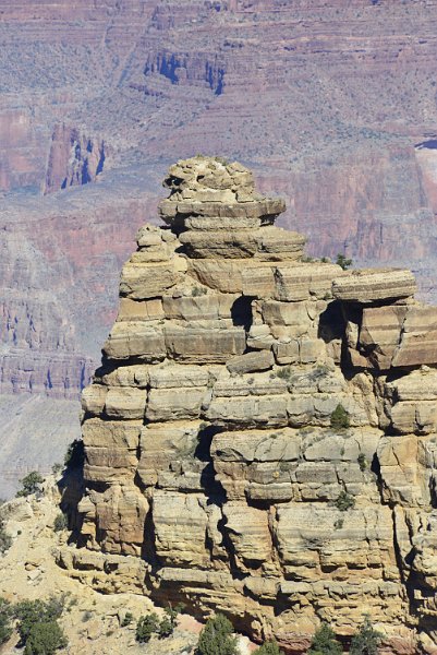 DSC_0905.JPG