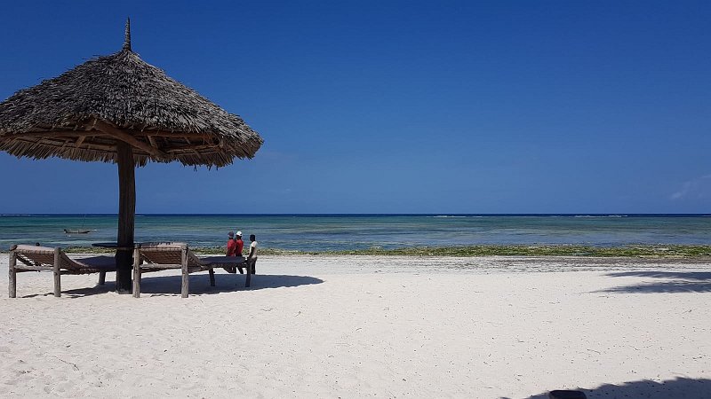 IMG-20181112-WA0005.jpg - beach in front  of the hotel