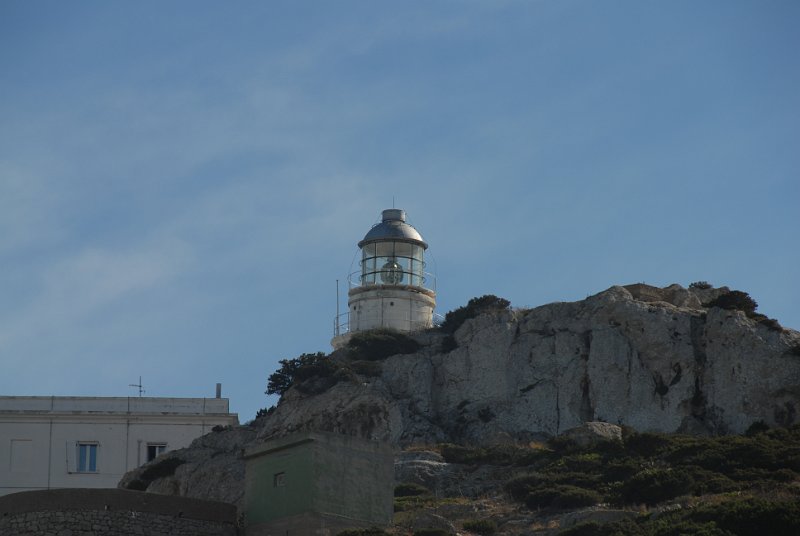 DSC_8260.JPG - closest shot with the lenses i had ...