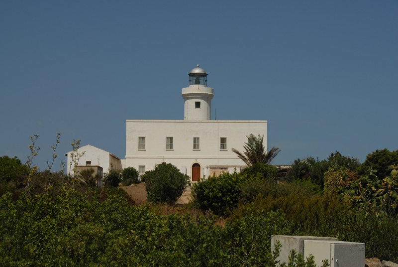 DSC_7943.JPG